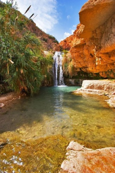 Эйн-Геди Израиль