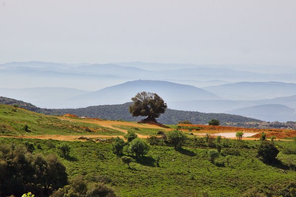 Израиль пейзажи