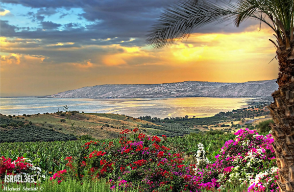 Израиль пейзажи