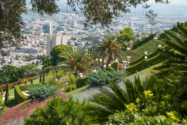 Природа города Хайфе Израиль