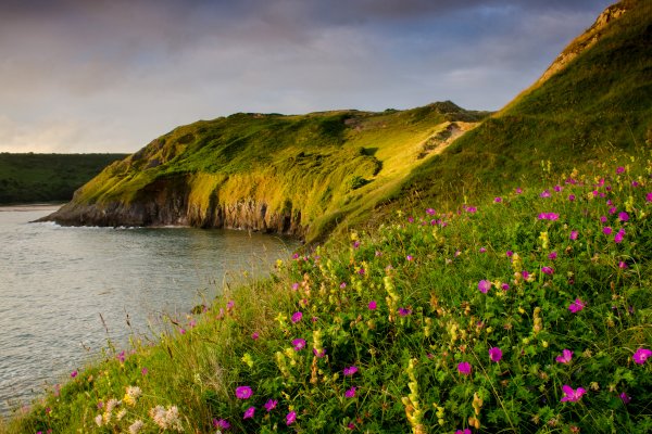 Холмы Уэльса