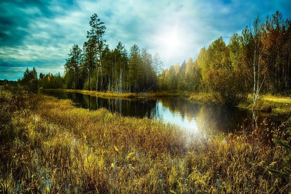 Таежные речки ХМАО