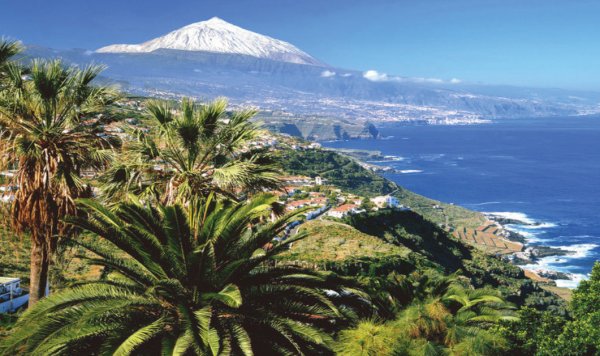 Тенерифе Канарские острова Оливия