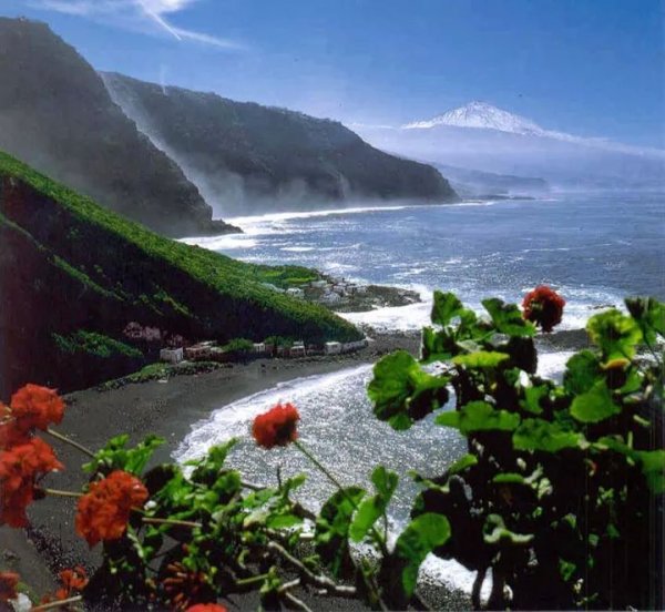 Испания Канарские острова Тенерифе