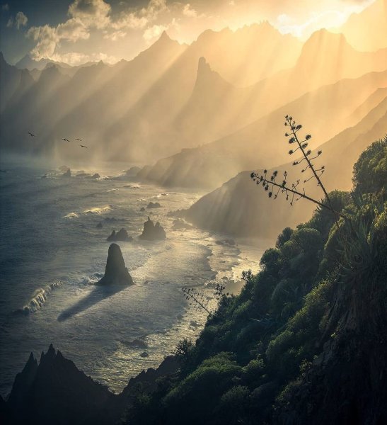 Пуэрто ла Крус Канарские острова