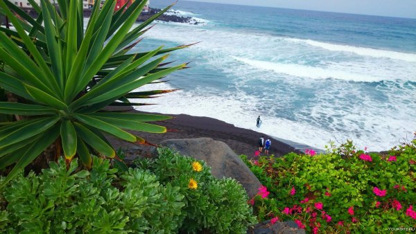 Канарские острова горы