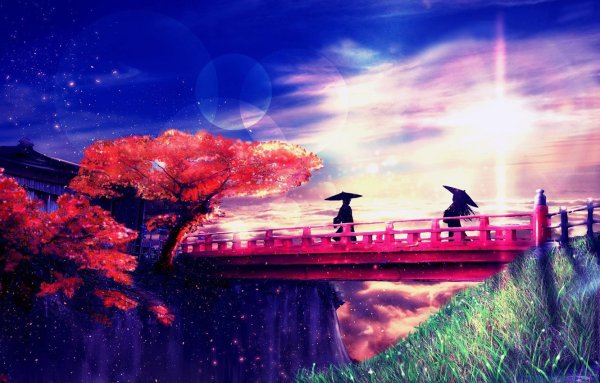 Сакура на закате