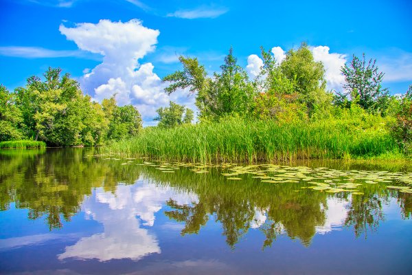 Волжский природа