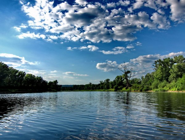 Волга река пейзаж