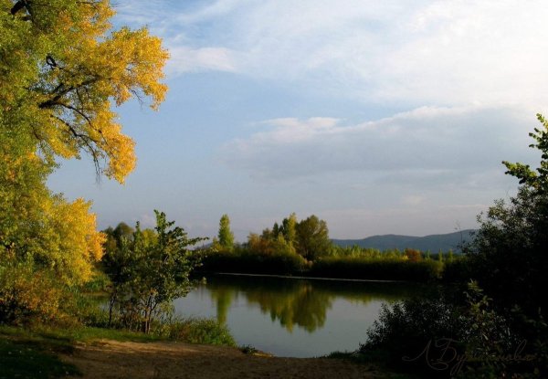 Природа Волжского Волгоградской области