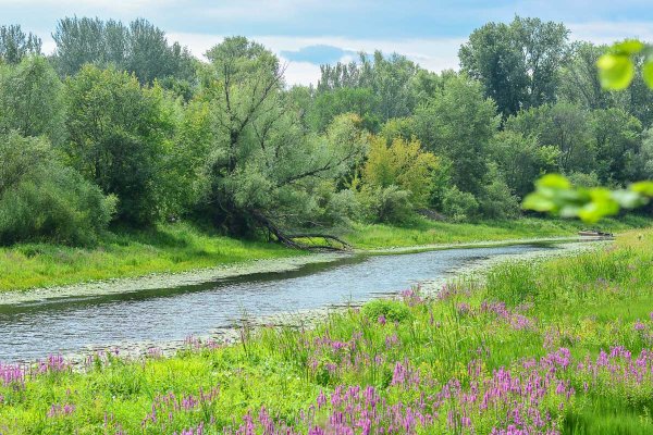 Самарские Волжские пейзажи