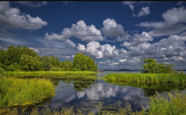 Волга река пейзаж
