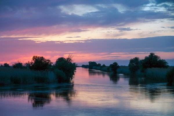 Дельта реки Волга