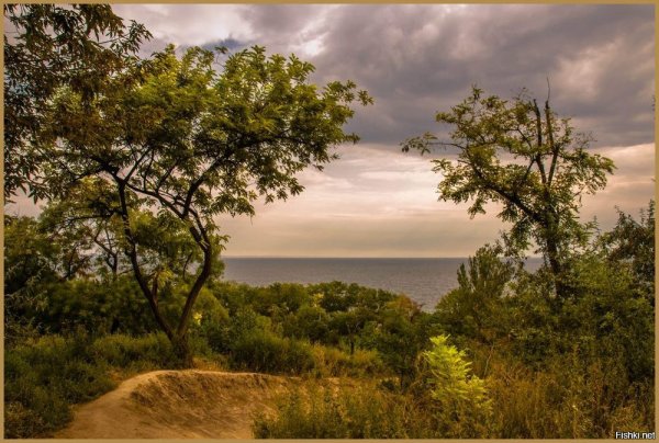 Морской пейзаж Одесса