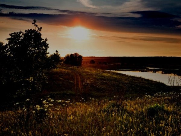 Бежин луг утро