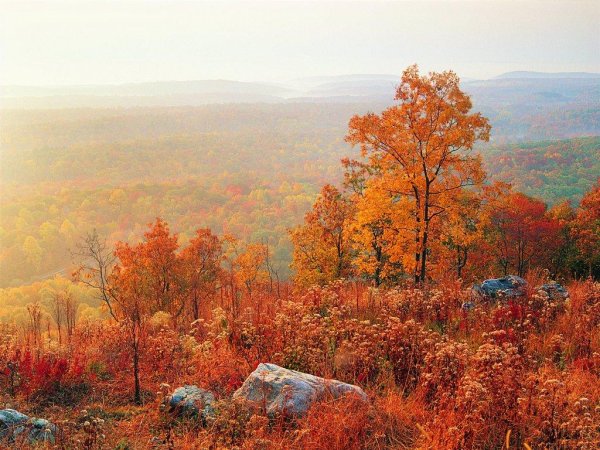 Октябрь природа