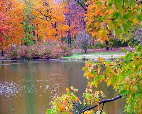 Сентябрь природа