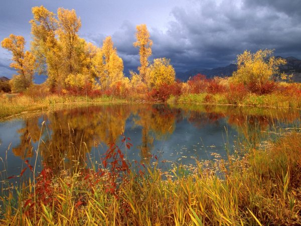 Василий Поленов Золотая осень