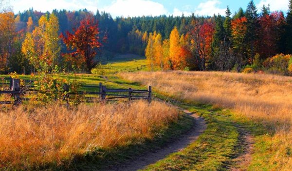 Природа осень