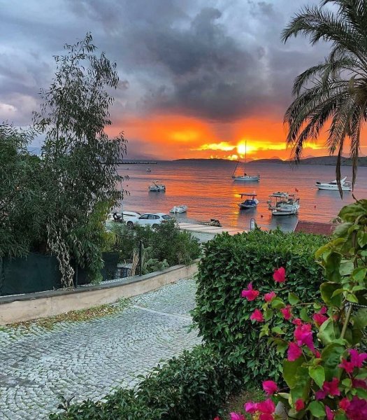 Бодрум природа