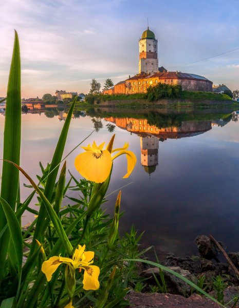 Выборгский замок