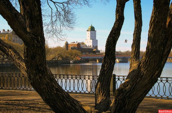 Выборг осень 2021