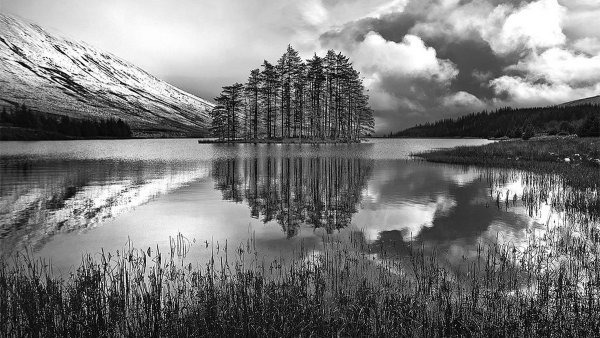 Ансель Адамс
