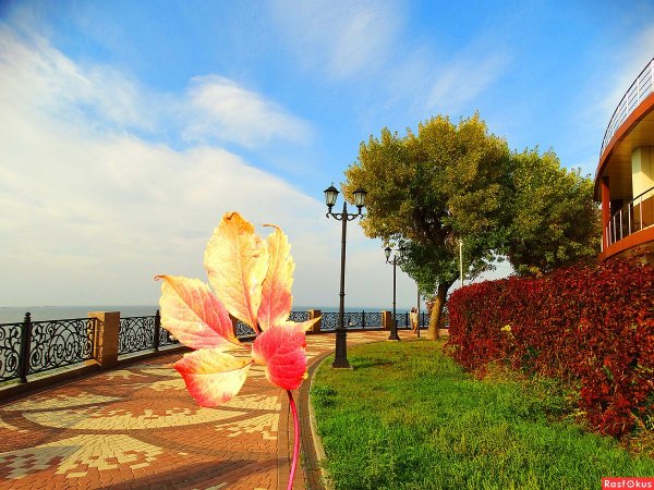 Город Ейск набережная