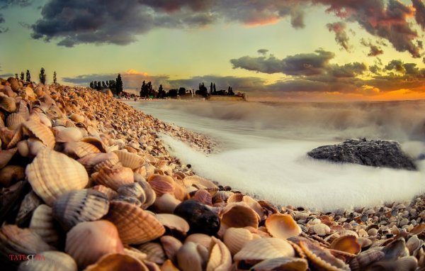 Красоты Ейска