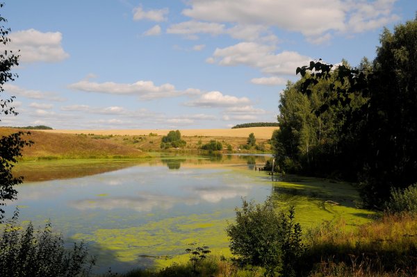 Поволжье это средняя полоса России