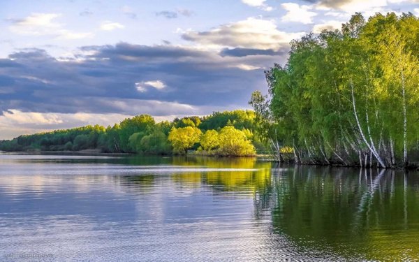 Самара Жигулевские ворота природа