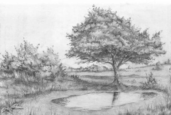 Пейзажи для срисовывания карандашом