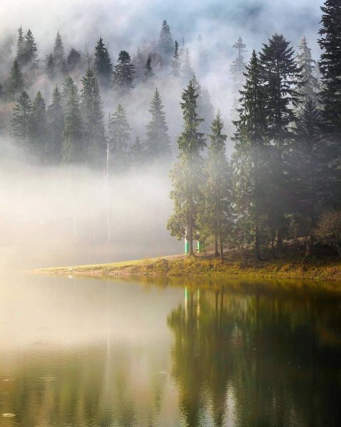 Природа туман