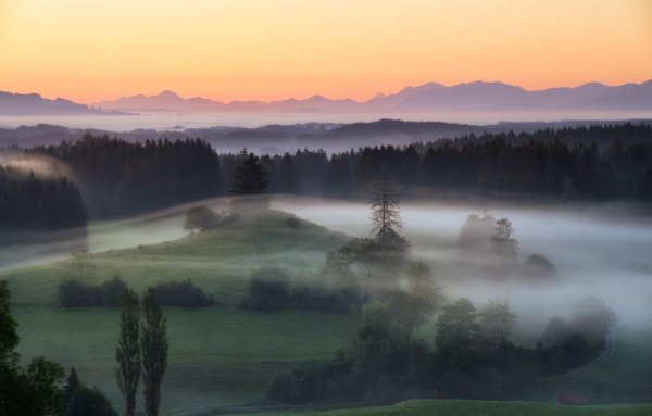 Туманное утро