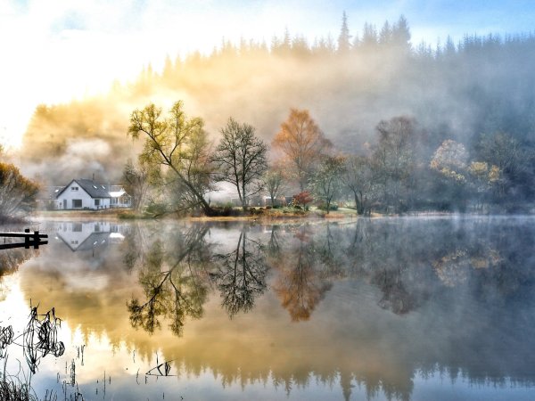 Туманный пейзаж