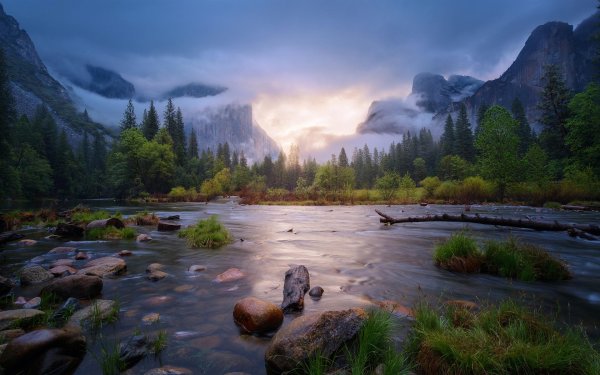 8k Долина река горы лес