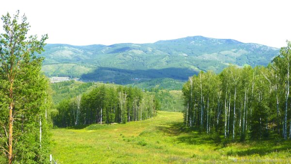 Лес Башкортостана