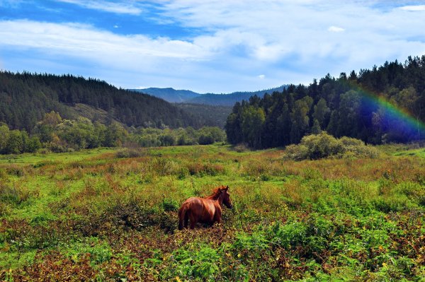 Республика Башкирия природа