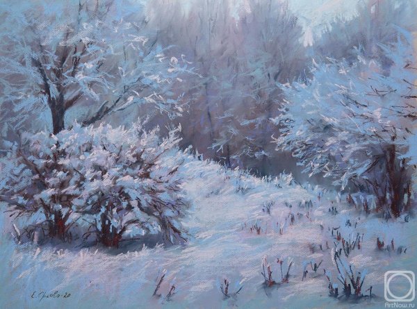 Елена Орлова художник пастелист