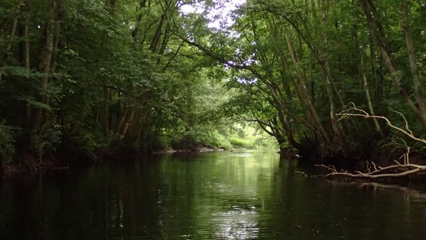 Река Амазонка