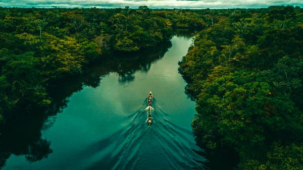 Тамбаки Амазонка