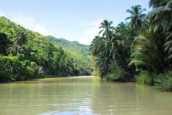 Река в джунглях