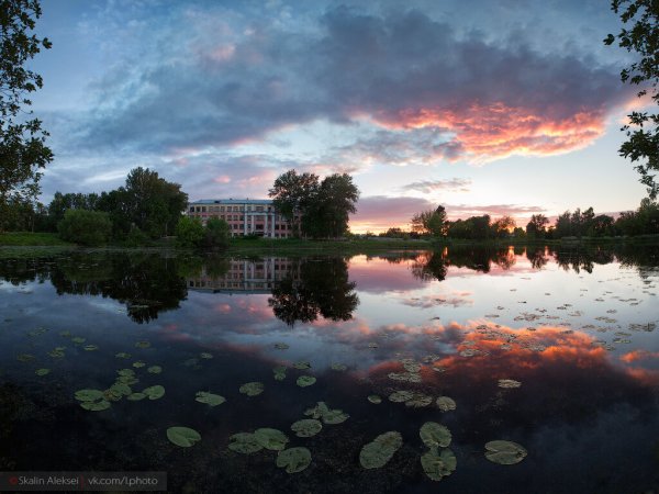 Алексей Скалин фотограф