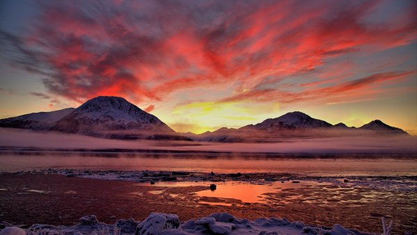 Дикая природа пейзаж