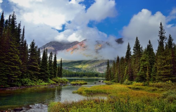 Северная Америка Аляска