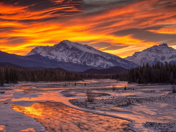 Дальний Восток Горная тундра