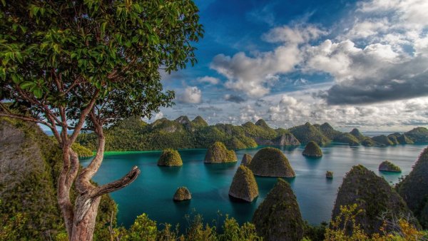 Острова Раджа Ампат Индонезия