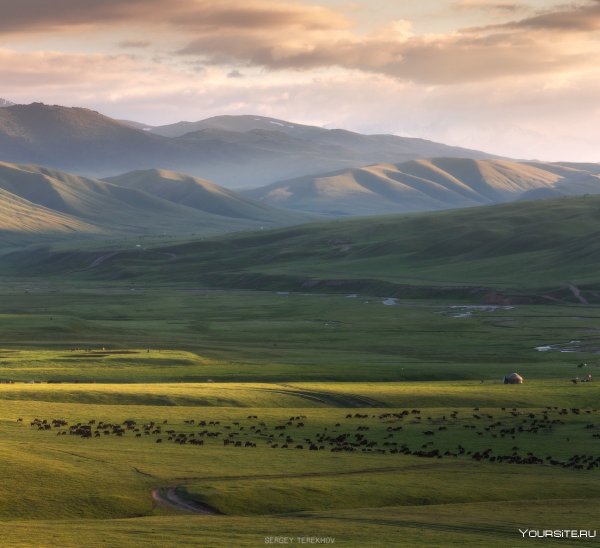 Плато Бийчесын