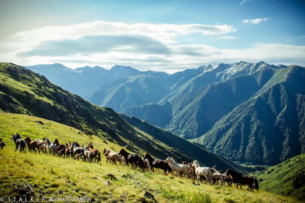 Жайлау Казахстана