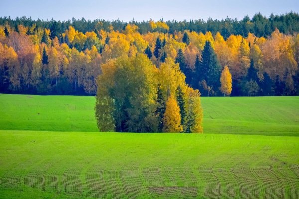 Удмуртская Республика природа